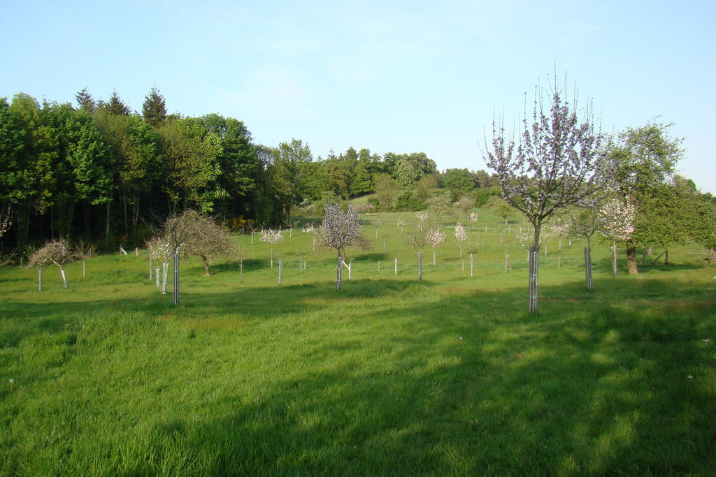 Gite De La Cour Campandré-Valcongrain Pokój zdjęcie