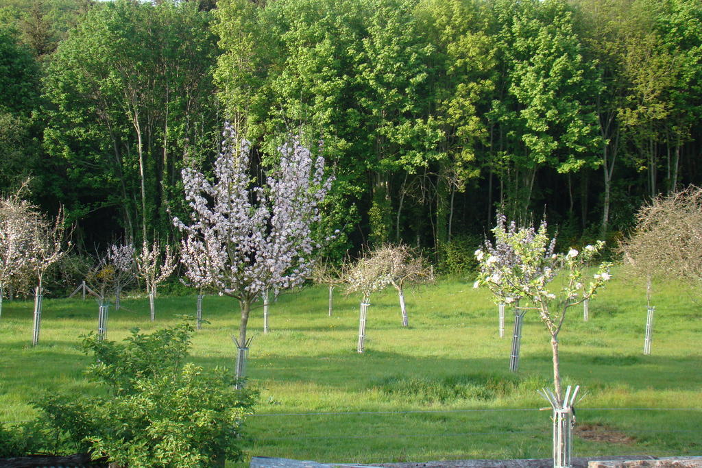 Gite De La Cour Campandré-Valcongrain Pokój zdjęcie
